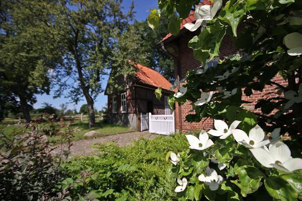 Готель Landgasthof Zur Heideschenke Wolthausen Екстер'єр фото